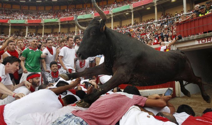 Бега быков: Сан Фермин 2015 (28 фото)