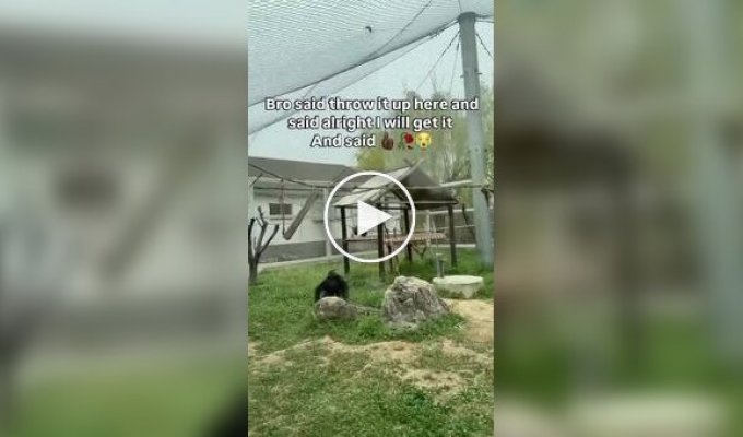 Очень умное животное