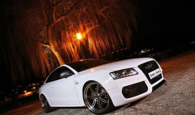 Audi S5 White Beast от ателье Senner (21 фото)