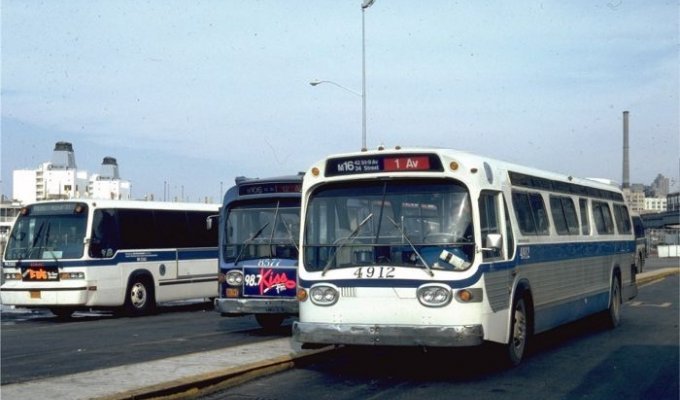 Американские автобусы