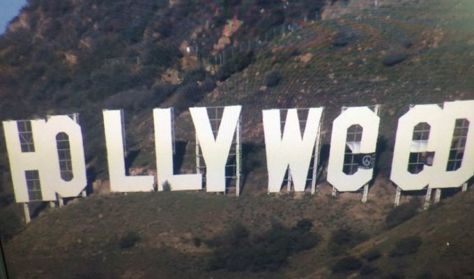 Был Hollywood, и стал Hollyweed (2 фото)
