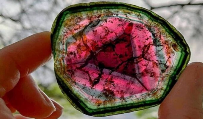 Watermelon tourmaline - a mineral with pleochroism (12 photos)