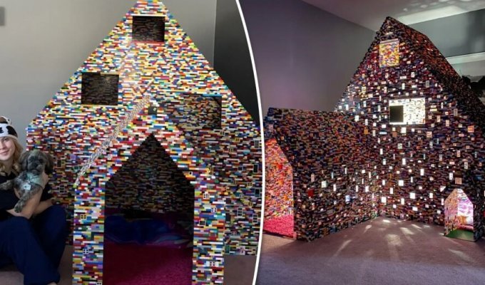 A woman built a two-meter house from Lego for her pets (6 photos + 1 video)