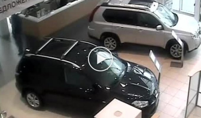 Инцидент в Пеликан Авто