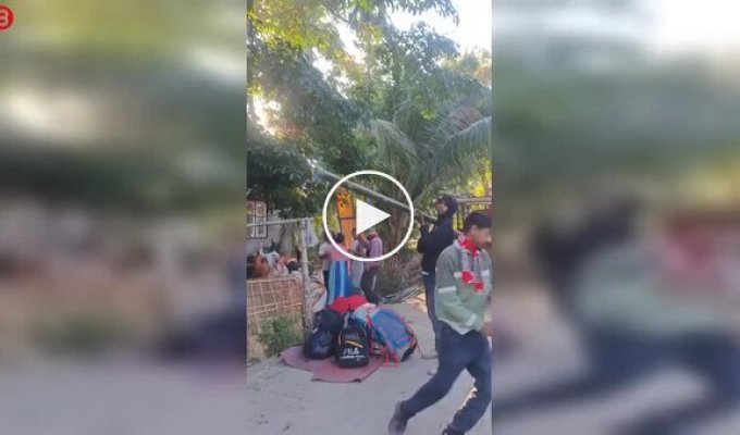 Использование бамбука в качестве базуки