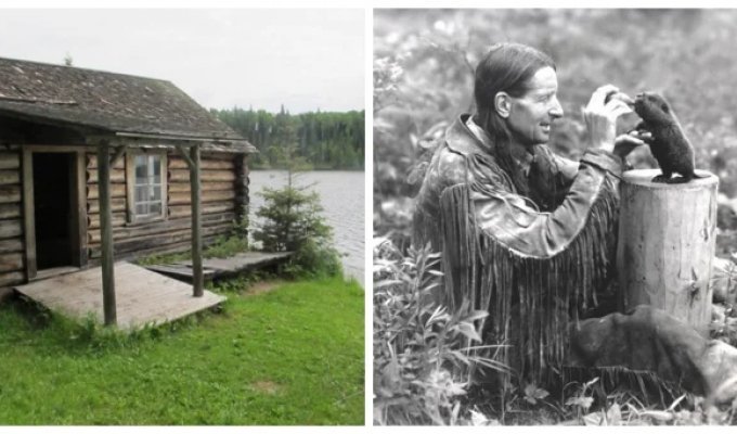 The Gray Owl Cabin - an unusual person with a kind heart (20 photos + 1 video)