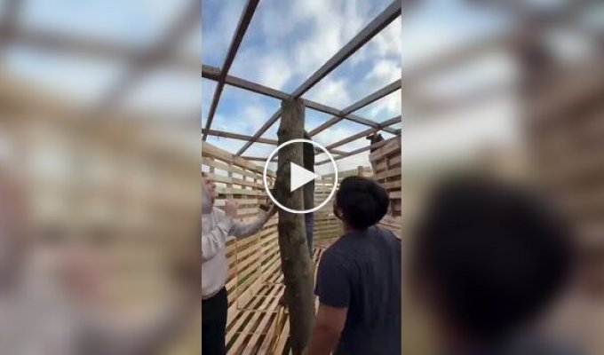 Friends made a childhood dream come true