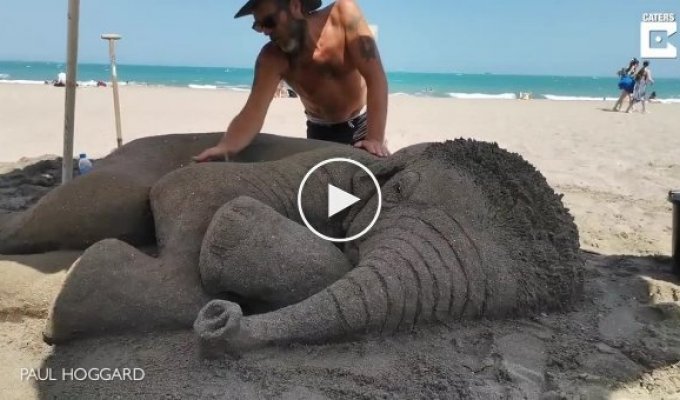 Используя песок и морскую воду, скульптор создал реалистичного слоненка