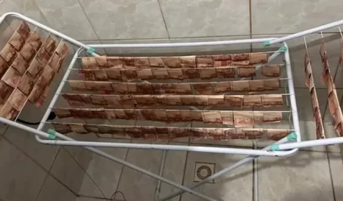 Бразильские полицейские показали, как выглядят по-настоящему отмытые деньги (3 фото)