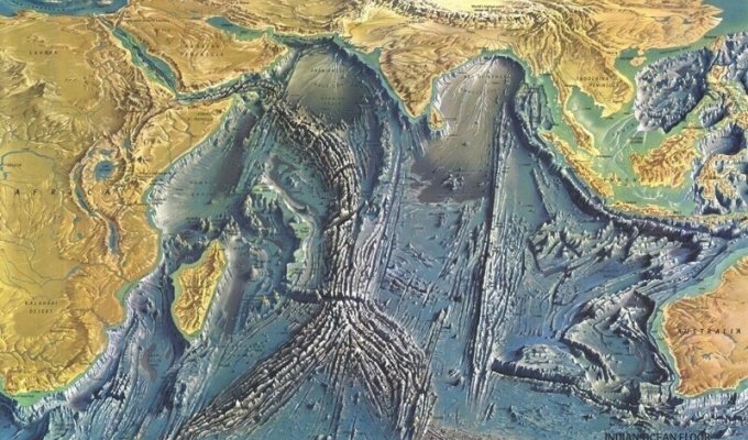 What does the topography of the ocean floor look like (5 photos)