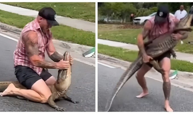 MMA fighter from Florida defeated an alligator with his bare hands (5 photos + 2 videos)