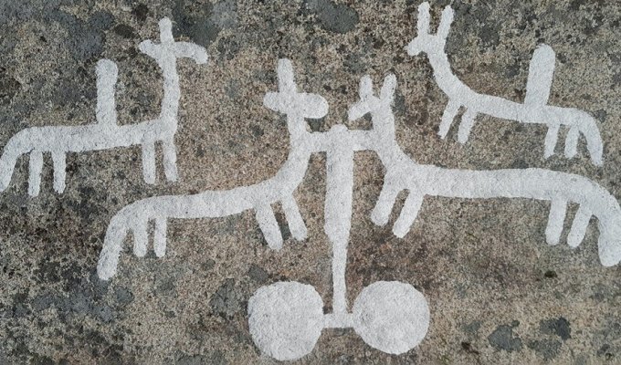 Под мхом найдены петроглифы возрастом 2700 лет (6 фото)