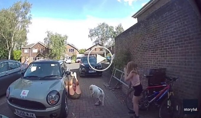 A woman with good reflexes saved an extreme dog