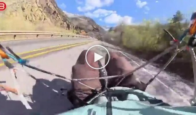 Paraglider chose the track instead of the landing field