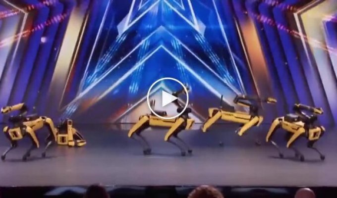 Робопсы зажигают: Boston Dynamics на шоу талантов с танцем под Dont Stop Me Now