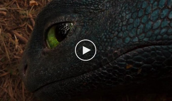 First trailer for the movie "How to Train Your Dragon"