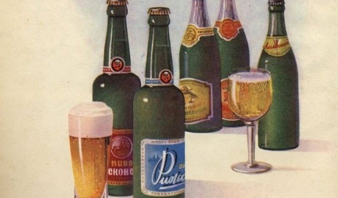 Пиво, брага, мед: ассортимент в советском пивном каталоге 1950-х годов (23 фото)