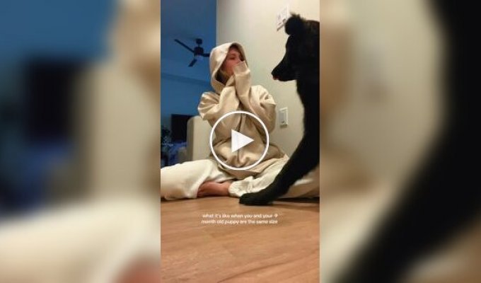 9-месячный щенок удивил всех своими гигантскими размерами