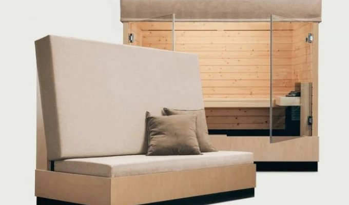 German company Suda releases a home sauna that transforms into a sofa (3 photos + video)