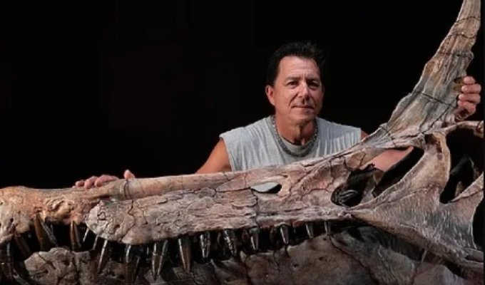 В пустыне Сахара обнаружили прародителя дракона возрастом около 95 миллионов лет (2 фото)