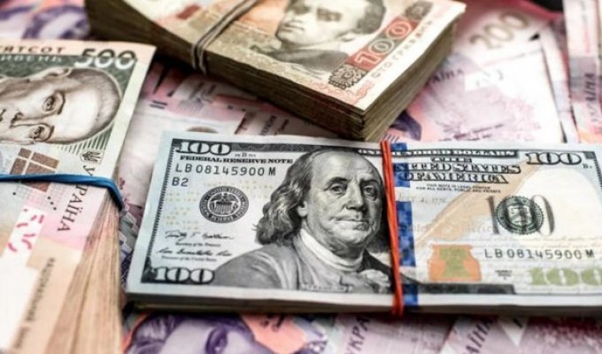 Актуальні пропозиції обмінних пунктів Ірпеня для американського долара