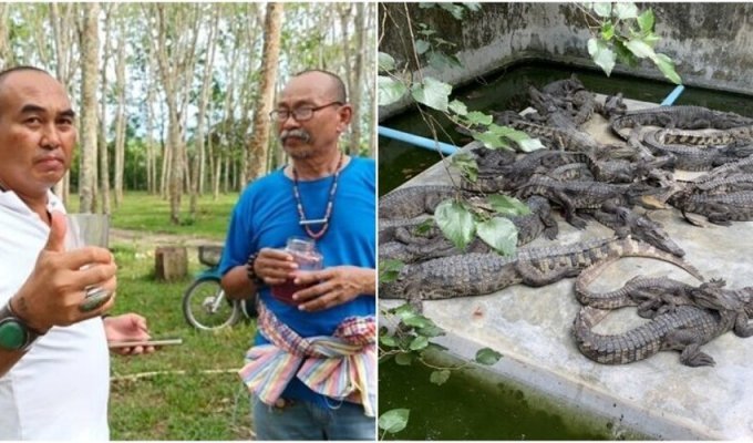 Таец пьёт крокодилью кровь для "поддержания здоровья" (6 фото + 1 видео)