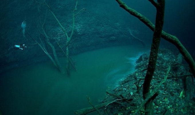 Подводная река (4 фото+ 2 видео)
