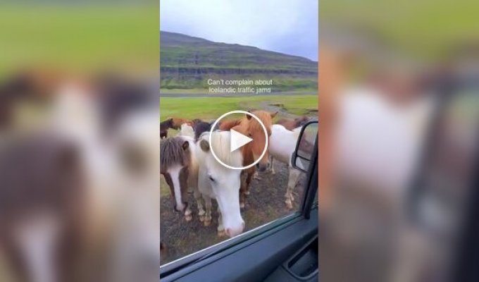 Необычная пробка в Исландии