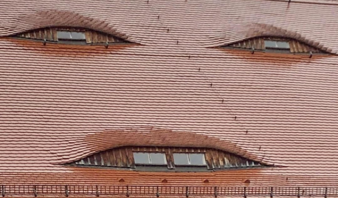 “I’m my mother’s architect”: funny and unusual design of house roofs (16 photos)