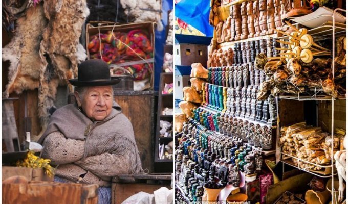 Рынок ведьм в столице Боливии: сушеные лягушки, зародыши ламы и другая жуть (9 фото)