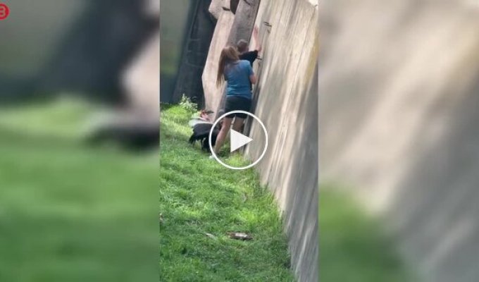 13-летний мальчик перелез в вольер зоопарка и устроил погоню за птицами