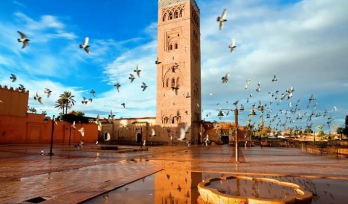 Десять фактов о Марокко, которые вас удивят (11 фото)