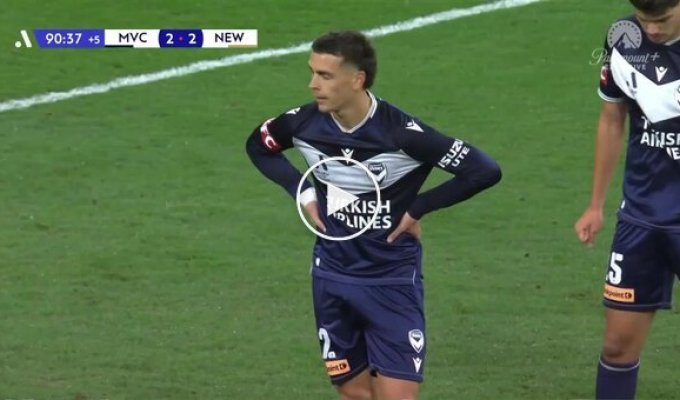 Зграя птахів приземлилася на стадіон під час футбольного матчу