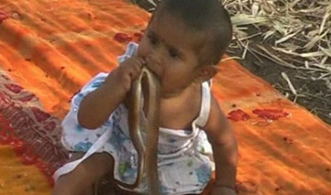 Индийские малыши вместо игрушек играют с мёртвыми змеями (3 фото)