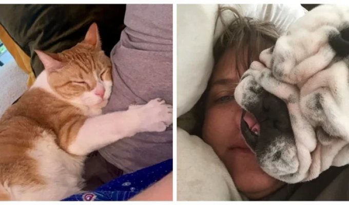 20+ питомцев, которые не могут существовать без своего человека (21 фото)