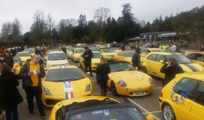 Сотни владельцев желтых автомобилей собрались, чтобы поддержать британского пенсионера (5 фото)
