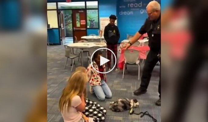 В США песик «оживает» только после идеального массажа сердца