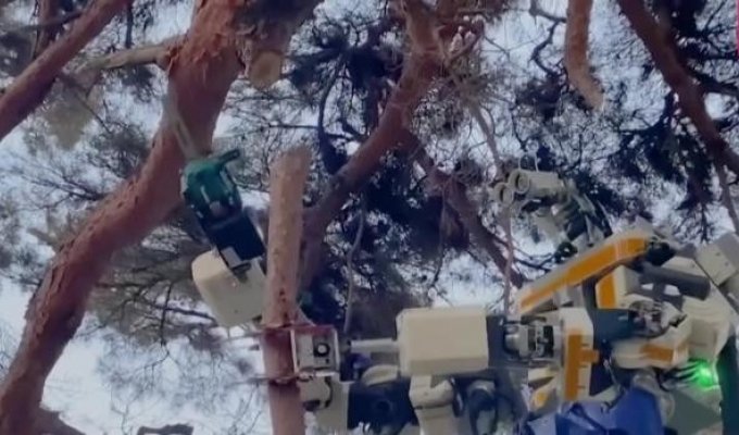 Япония начала использовать гигантских гуманоидных роботов для ремонта железных дорог (4 фото + 1 видео)