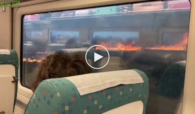 Необычная остановка на поезде среди пожара в лесу