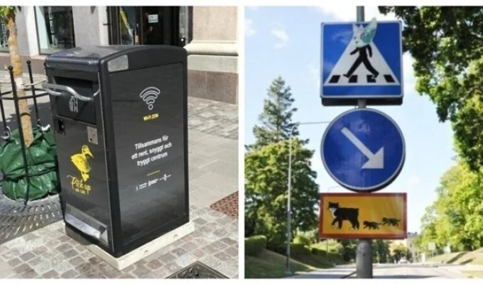 16 Fascinating and Surprising Facts About Life in Sweden (16 photos)