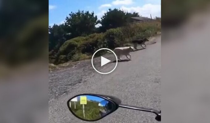 Когда проходишь миссию в игре по стелсу