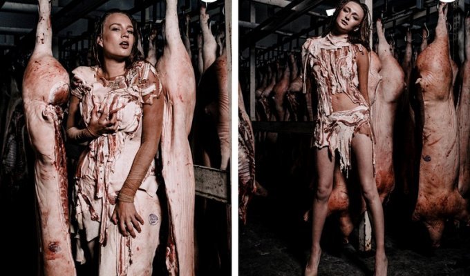 Украинские модели позируют со свиными тушами (20 фото)