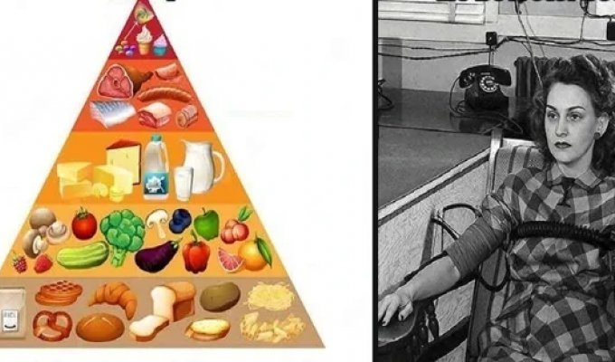 22 Common Misconceptions People Still Believe Today (23 Photos)