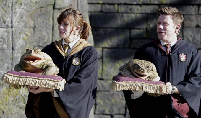 The Wizarding World of Harry Potter (13 photos)