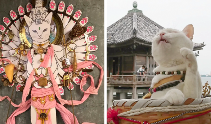 Храм кошек "Мяу-Мяу" в Японии (31 фото)