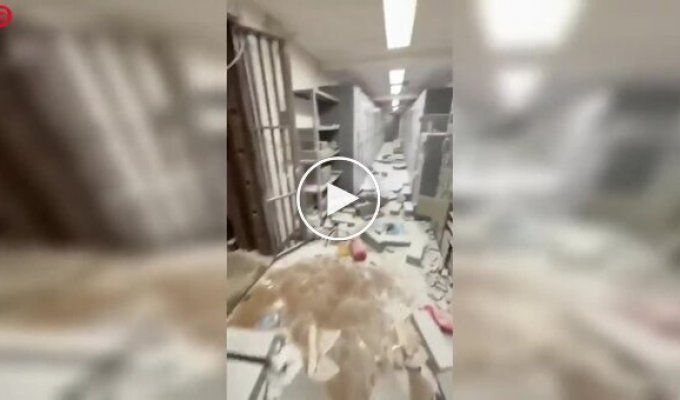 Грабители захватили 25 заложников в банке Неаполя и скрылись через канализационный туннель