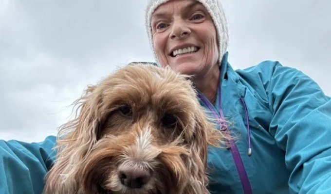 Притворилась мёртвой: стадо коров напало на женщину в Шотландии (4 фото)