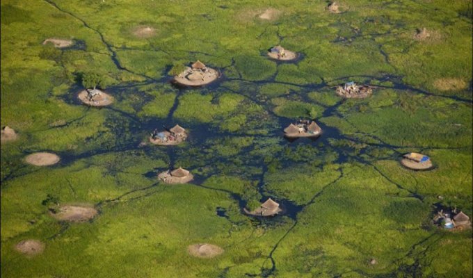 Невероятное место, где живут люди: болота Судд (8 фото)