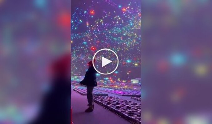 В Китае 20 тысяч дронов вернулись в свои коробки после масштабного шоу