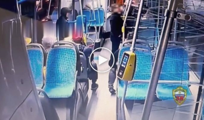 Чоловік стягнув мобільний телефон з барсетки пасажира, що сидів поруч.